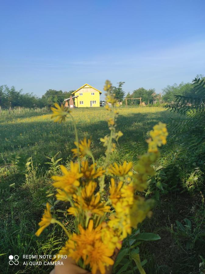 Apartament Mirella33 Palić Zewnętrze zdjęcie